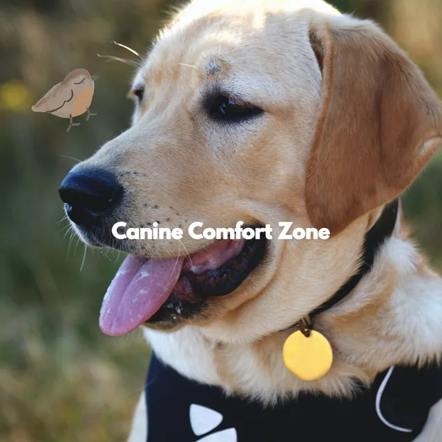 Canine Comfort Zone