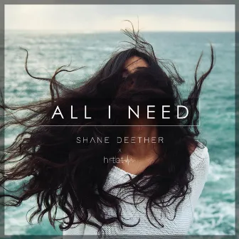 All I Need (remix) by Shane Deether