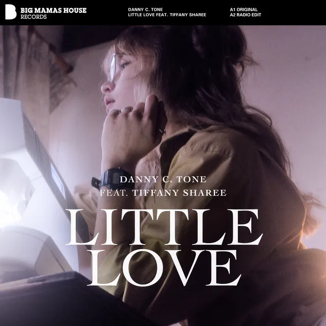 Little Love [feat. Tiffany Sharee] - Radio Edit