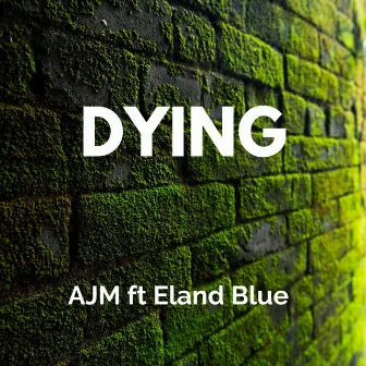 Dying by Eland Blue