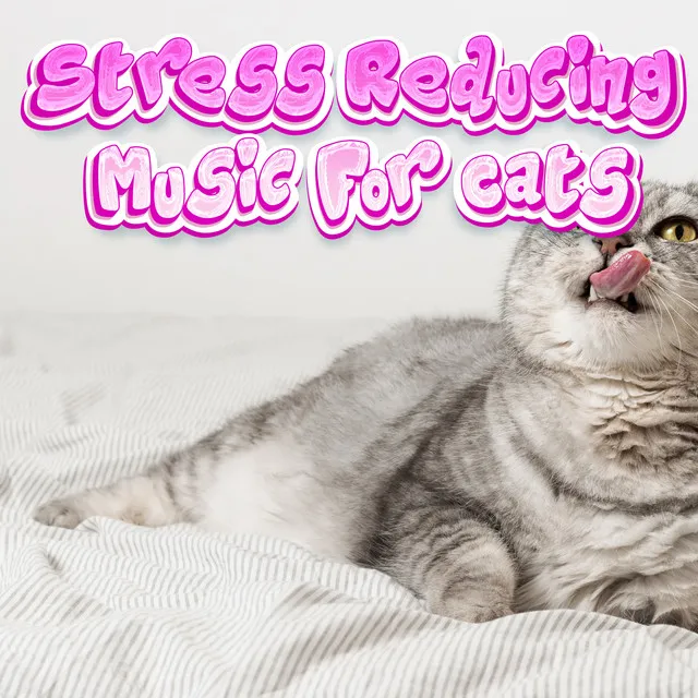 Calming Music For Cats With Anxiety