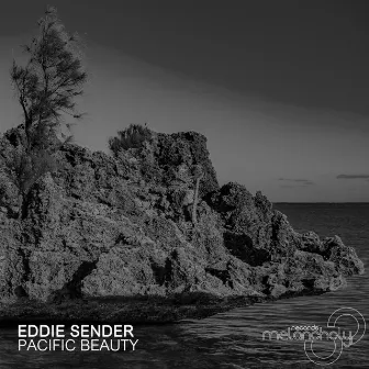 Pacific Beauty by Eddie Sender