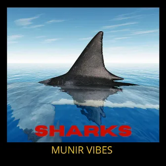 Sharks by Munir Vibes