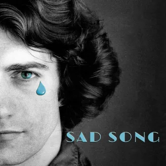 Sad Song by Brian Protheroe