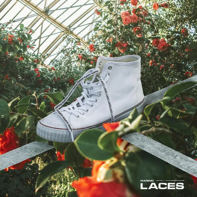 Laces