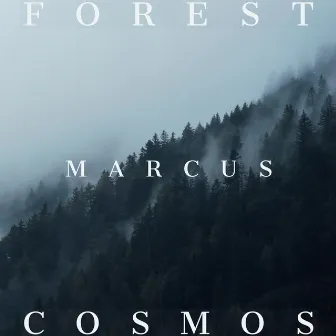 Forest Cosmos by Marcus