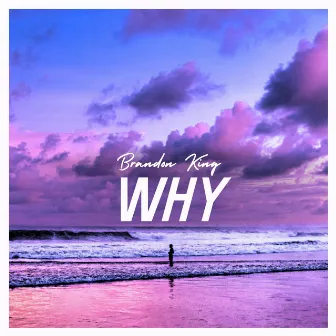 Why by Brandon King