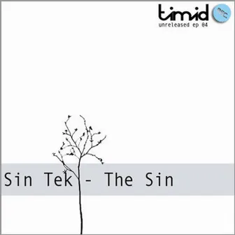 The Sin (Tunrel04) by Sin Tek