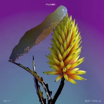 Say It by Flume