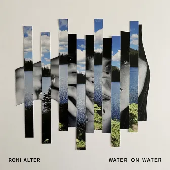 Water on Water by Roni Alter