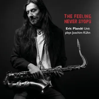 The Feeling Never Stops by Eric Plandé