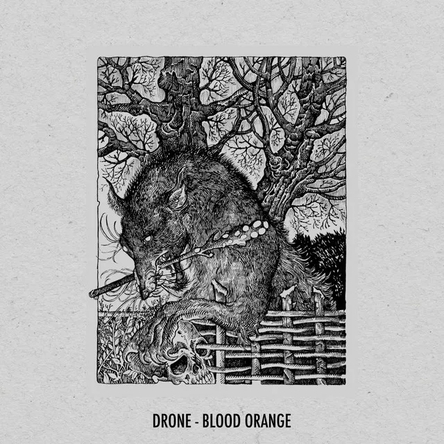 Blood Orange