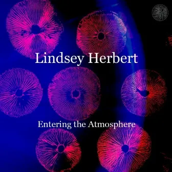 Entering the Atmosphere by Lindsey Herbert