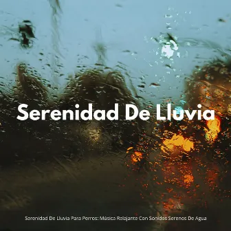 Serenidad De Lluvia Para Perros: Música Relajante Con Sonidos Serenos De Agua by Música para perros de moda