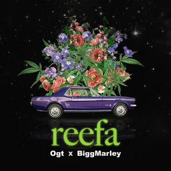 Reefa by Ogt