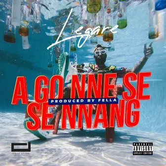 A Go Nne Se Se Nnang by Legare