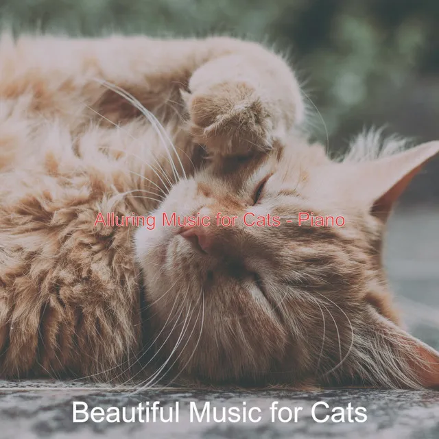 Alluring Music for Cats - Piano