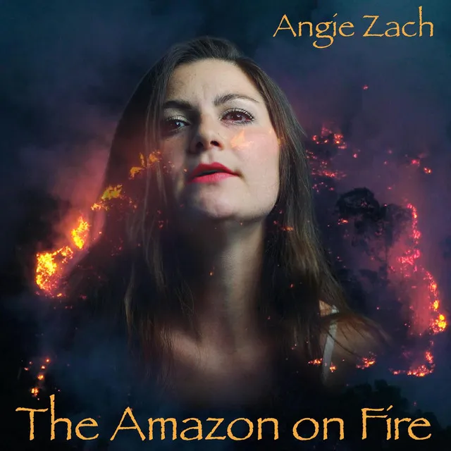 The Amazon on Fire