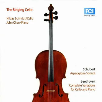 The Singing Cello by Niklas Schmidt