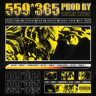 5 5 9 * 3 6 5 by Paisa God