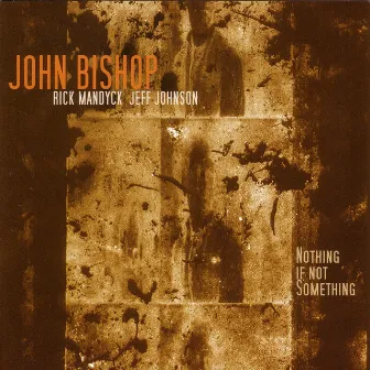 Nothing If Not Something by John Bishop