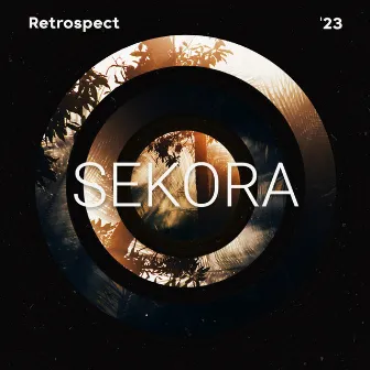 Sekora in Retrospect 2023 by Unknown Artist