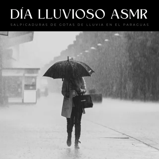 Día Lluvioso Asmr: Salpicaduras De Gotas De Lluvia En El Paraguas