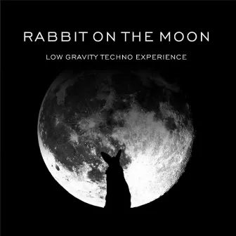 Low Gravity Techno Experience by Rabbit on the Moon