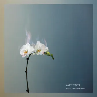 LAST WALTZ by World's End Girlfriend