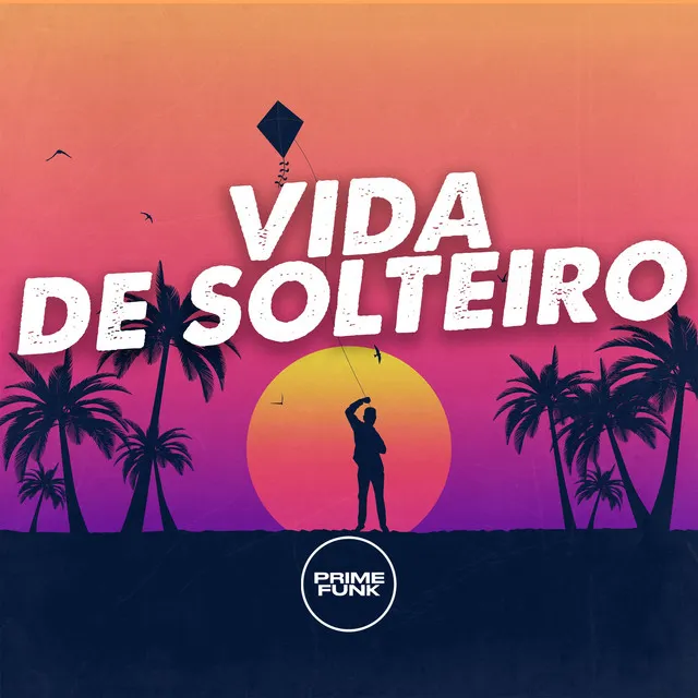 Vida de Solteiro