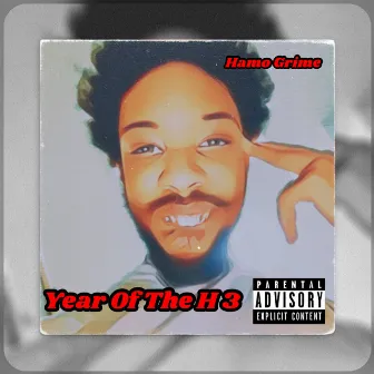 Year of the H 3 by Hamo grime