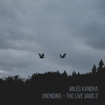 Unending - The Live Jams 2 by Miles Kvndra