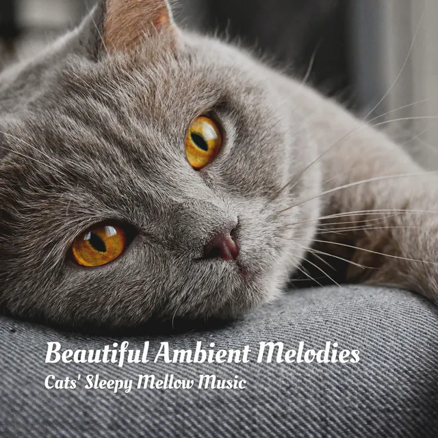 Ambient Sounds for Deep Healing Emotional Detox