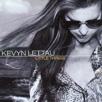 Little Things by Kevyn Lettau