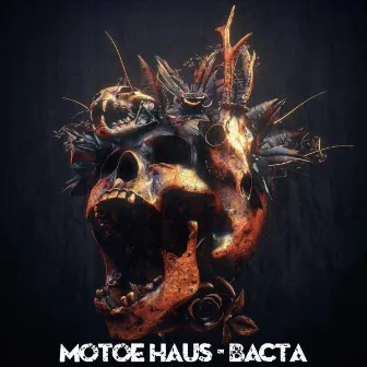 Bacta by Motoe Haus