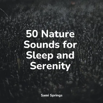 50 Nature Sounds for Sleep and Serenity by Restaurant Background Music