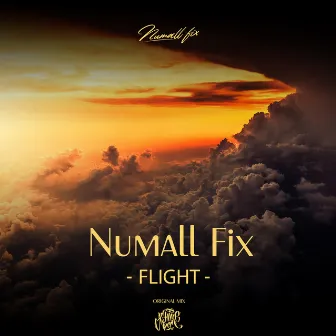 Flight by Numall Fix