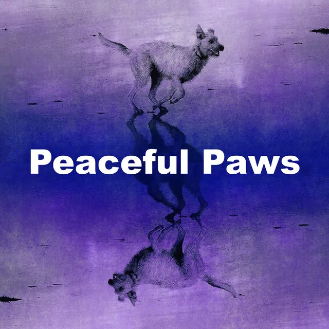 Peaceful Paws