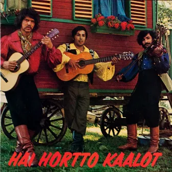 Hai Hortto Kaalot by Unknown Artist