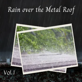 Rain over the Metal Roof Vol. 1 by Music For Dogs With Anxiety