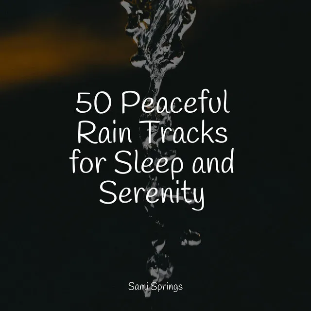 50 Peaceful Rain Tracks for Sleep and Serenity