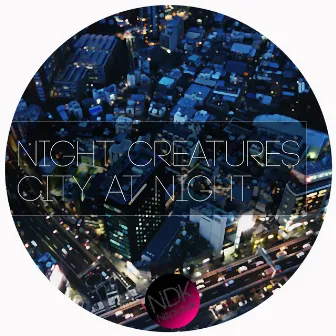 City at Night by Night-Creatures