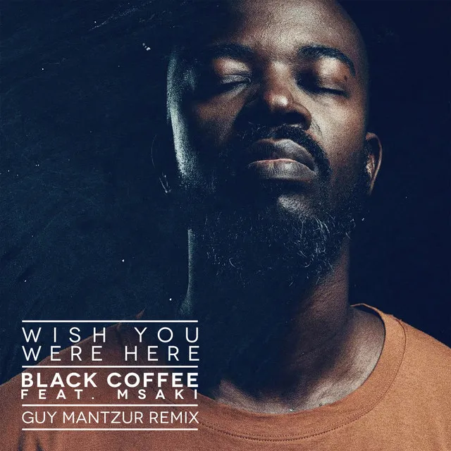 Wish You Were Here (feat. Msaki) - Guy Mantzur Remix