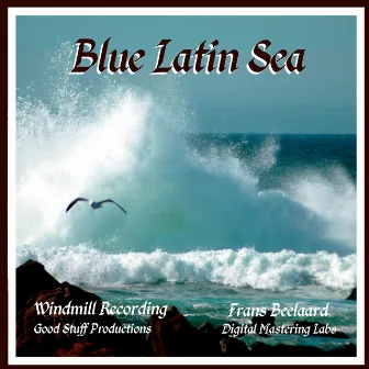 Blue Latin Sea by Frans Beelaard