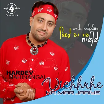 Vichhrhe Na Mar Jaaiye by Hardev Mahinangal