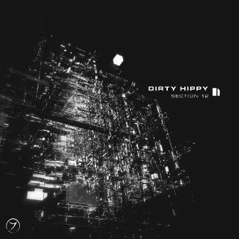 Section 12 by Dirty Hippy