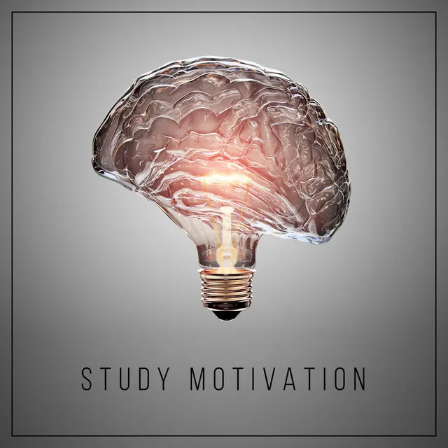 Study Motivation – Ambient White Noise Collection for Better Focus and Efficient