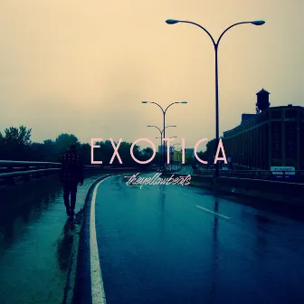 EXOTICA by THEYELLOWBEATS