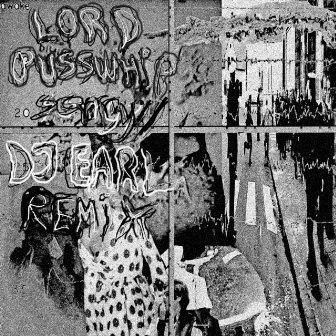 sorry :/ (DJ Earl Remixes) by Lord Pusswhip