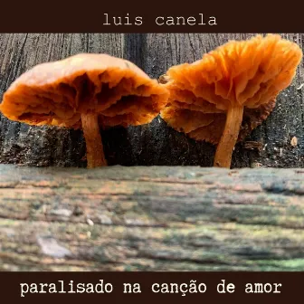 paralisado na canção de amor by Luis Canela